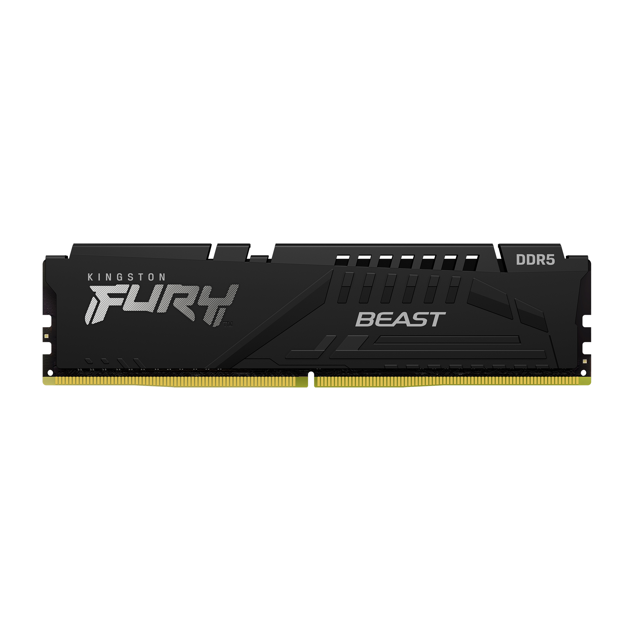 Kingston Fury Beast DDR5  16GB 5600MT/s